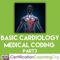 Basic Cardiology Medical Coding Part 3 - Video