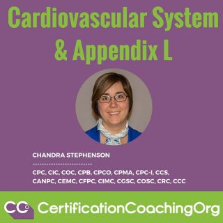 Cardiovascular System and Appendix L to codes 36200-36299